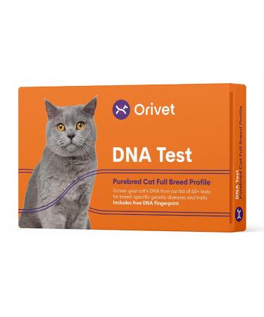 ORIVET Cat Breed DNA Test - 1 Pack | Comprehensive Genetic Health Screening & LifePlan | At Home Cheek Swab | Accurate & Fast Results