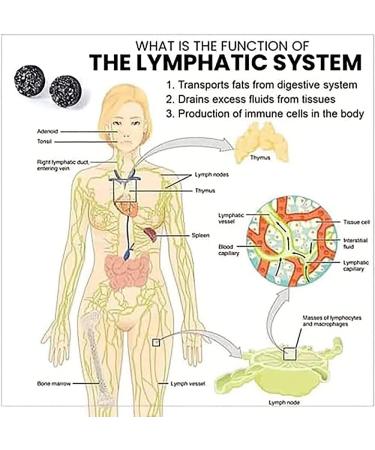 Shop LIHWKD Magnetology Germanium Earrings - Non-Penetrating Magnetic Therapy & Crystal Design (Black) - International Shipping Available - Buy Online on GoSupps.com