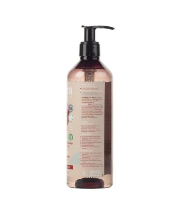 Buy Itinera Protective Liquid Soap with Apple - Vegan Aloe Vera & Glycerin - 95% Natural - International Shipping - Trentino Alto Adige 12.51 fl oz - Buy Online on GoSupps.com