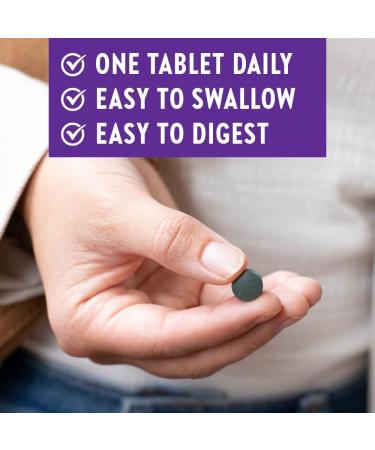 New Chapter Fermented Zinc Complex - 60 Vegetarian Tablets for Immune Support - Buy Online on GoSupps.com