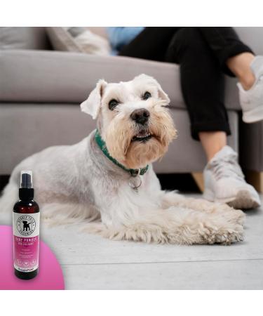 HugglePets Bubbly Tails Baby Powder Cologne for Dogs 250ml | Fragrant Grooming Clean Fresh-Smelling Pups | No Paraben Preservatives and Vegan Friendly 250 ml (Pack of 1) - Buy Online on GoSupps.com