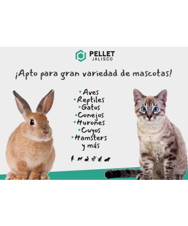PELLET JALISCO Wooden substrate for pet bed (cats rabbit mice ferrets reptiles etc.) (1098 mm3) - Buy Online on GoSupps.com