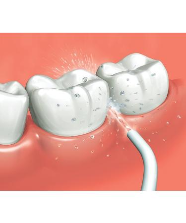 Panasonic EW0955W503 Replacement Nozzle for Water Flosser EW-DJ10 EW-DJ40 - Pack of 2 - Buy Online on GoSupps.com