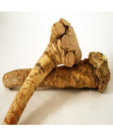 Horseradish Roots Natural , 1/2 pound/8 ounces ,( USA Only,Can Not be shipped internationally) Ready For Planting or Preparing As Sauces or Dressings etc. JACOBS LADDER