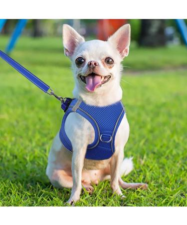 Joyal Reflective Soft Padded Dog Harness | Breathable Mesh for Small Dogs & Puppies - Royal Blue XS (34-38cm) - Buy Online on GoSupps.com