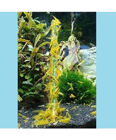 Buy Shrimp Lollies Super Mix - 11 Lollipops for International Shipping | Delicious Seafood Treats - Buy Online on GoSupps.com