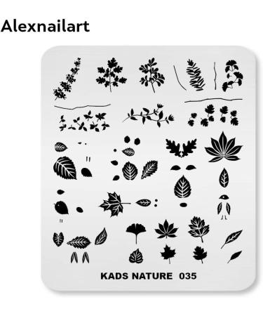 Alexnailart Nail Art Stamping Plates Image Template Nature Plant Leaf Pattern Design Stamper Nail Art DIY Print Manicure Nail Art Stencil Tools NA035 - Buy Online on GoSupps.com