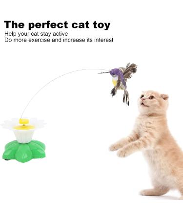 Qcwwy Electric Flying Bird Cat Toys | Rotating Fluttering & Lifelike Sounds for Kittens & Small Pets - International Shipping - Buy Online on GoSupps.com
