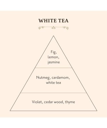 Sabon White Tea Body Scrub | Exfoliating Dead Sea Salt Scrub | Fig Lemon Jasmine | 11.3 Oz - Buy Online on GoSupps.com
