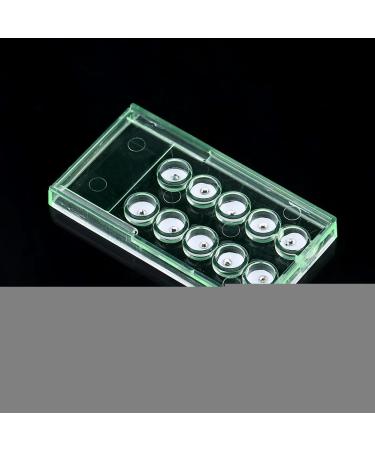 EBTOOLS 10pcs 2mm Dental Tooth Crystal Ornaments - White Teeth Jewelry Decoration with Jewel Twinkle Box - Buy Online on GoSupps.com