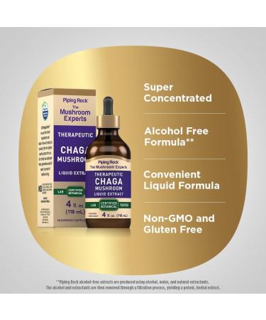 Piping Rock Chaga Mushroom Liquid Extract | 4 Fl Oz | Alcohol Free Vegetarian Tincture | Non-GMO Gluten Free Supplement - Buy Online on GoSupps.com