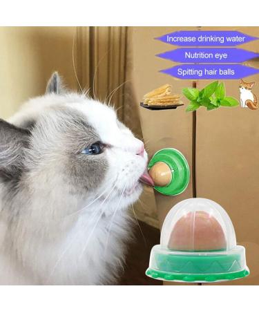 Cat Snacks Catnip Sugar Energy Lick Balls Nutrition Snacks Cat Treats Natural Licking Sugar Snacks Balls 2 Pieces - Buy Online on GoSupps.com
