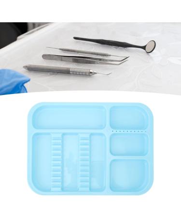 Blue Plastic Shared Tray with Separate Holder for Organized Storage | Versatile for Oral Cosmetic & Surgical Instruments - International Shipping Available - Buy Online on GoSupps.com