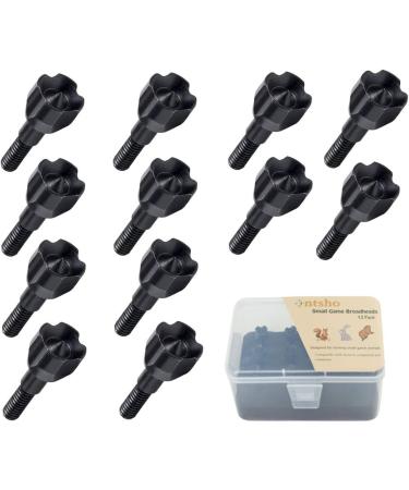 Ontsho 12PK Small Game Broadheads 125 Grain Hammer Blunt Points - Small Game Arrow Tips with Broadhead Case - Buy Online on GoSupps.com