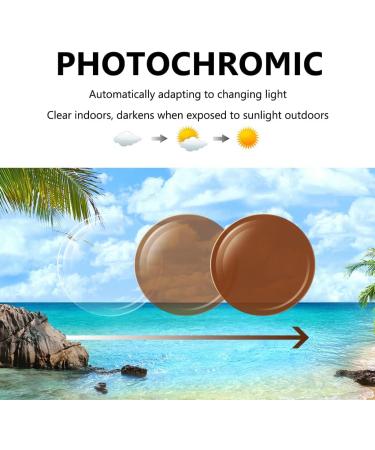 HELES Classic Aviator Titanium Full Rim Photochromic Brown Reading Glasses | Single Vision Outdoor Sunglasses +1.75 Strength - Shop Internationally - Buy Online on GoSupps.com