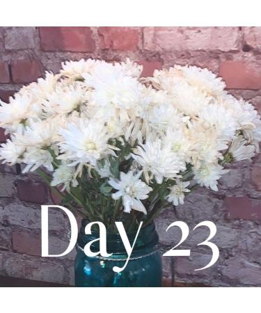 Flower Boosters Cut Flower Food for Fresher Vase Life Up to 20 Days or More (12.5 Ounces) - Buy Online on GoSupps.com