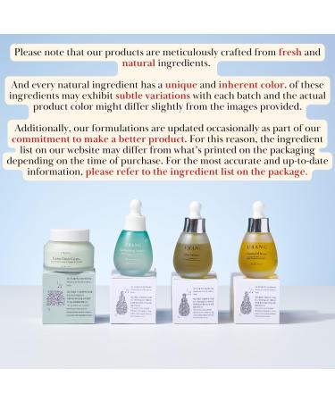 Vitamin Oil Serum - Cosmos Organic Certified | Rosehip Oil Lavender Essential Oil | Replenish Vibrancy & Elasticity | Natural Skin Care | 1.01 Fl oz - Buy Online on GoSupps.com