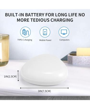 TAISHAN UV Sanitizer Toothbrush Case - Portable Rechargeable Holder for All Toothbrushes - Home and Travel Safety - White - Buy Online on GoSupps.com