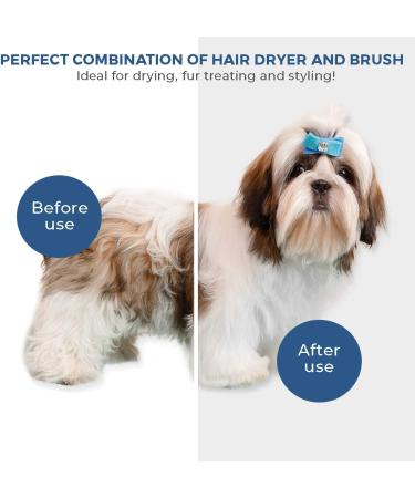 KUUBIA Pet Hair Dryer | Portable 2-in-1 Grooming Dryer with Brush | Adjustable Temperature for Small & Medium Dogs/Cats - Buy Online on GoSupps.com