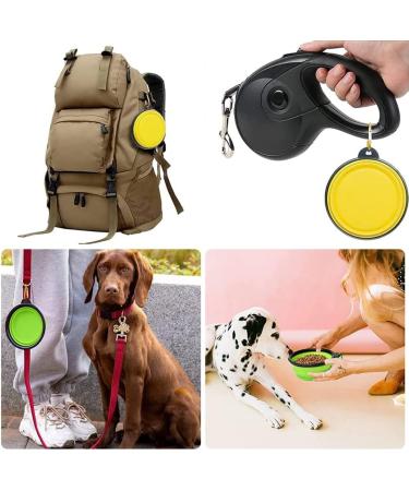 Kiuiom Silicone Travel Dog Bowls - Foldable Leak-Proof Portable 350ml Feeding Set with Lid & Carabiner (2pcs) - Ideal for Travel & Outdoor Adventures - Buy Online on GoSupps.com