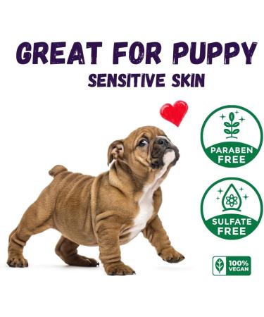 Kelebs Sensitive Skin Dog Shampoo 3PCS Set - Puppy, Itchy, Smelly Dogs - Natural Soap Bar with Lavender Oil & Oatmeal - Zero Plastic Waste - Vegan Formula - Buy Online on GoSupps.com
