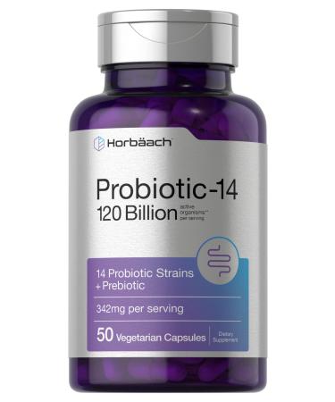 Horb ach Probiotics 120 Billion CFU | 14 Strains with Prebiotics | for Women & Men | 50 Capsules | Vegetarian Non-GMO & Gluten Free Supplement