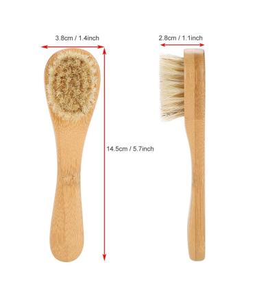 Natural Exfoliating Body Brush with Natural Bristles - Wet & Dry Brushing for Radiant Skin - Buy Online on GoSupps.com