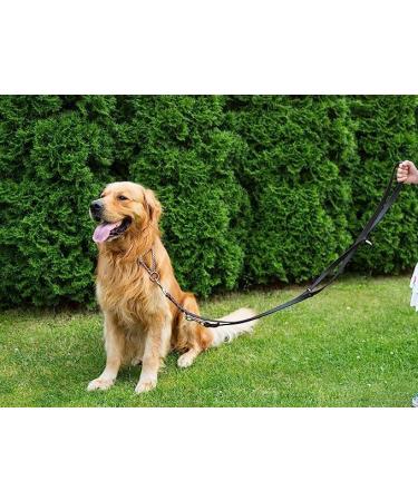 Buy COPCOPET 3-Way Adjustable Dog Leash - Handmade Fat Leather Chrome Fittings 2.40m x 8mm Green - International Shipping Available - Buy Online on GoSupps.com