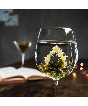 Shop Tea Exclusive - Teblumen Flower Fantasy Mix | 6 Unique Tea Blends in Elegant Metal Can - Green & White Tea with Jasmine Rose & Peony | Includes Photo Booklet & Sprouts - Buy Online on GoSupps.com