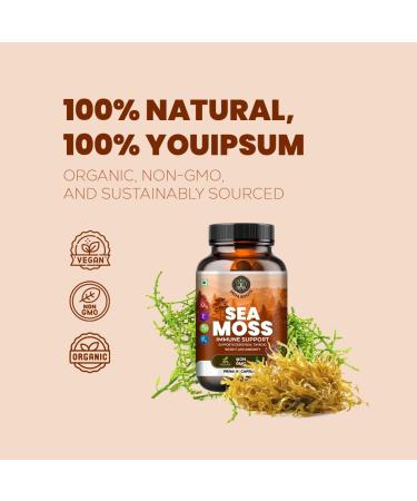 Veda Roots Sea Moss Capsules with Burdock Root Bladderwrack & Muira Puama support immunity gut health & energy. Made with raw Irish sea moss powder-120 nutrient-rich superfood capsules-60 Capsules - Buy Online on GoSupps.com