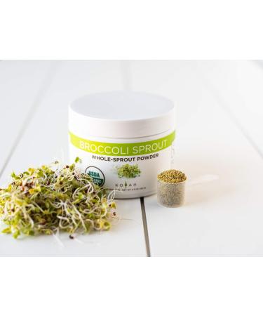 KOYAH Broccoli Sprout Powder - 4.3 Oz. - Buy Online on GoSupps.com
