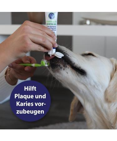 Canosept Dog Toothpaste Dental Gel 100g - Best Toothpaste for Dogs | Fresh Breath & Oral Care - Buy Online on GoSupps.com