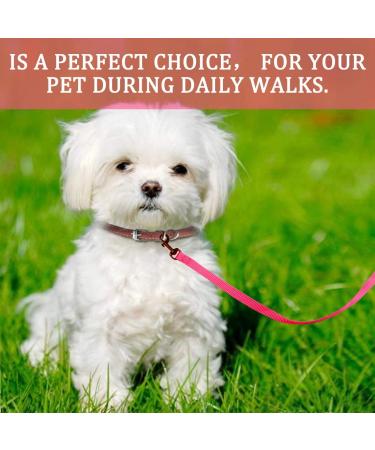 DOYOO 2 Pack Puppy Dog & Cat Leash Set with Collar Hook - Strong & Durable Leashes | Includes Collapsible Pet Bowl | Small & Medium Dogs | Black & Pink - Buy Online on GoSupps.com
