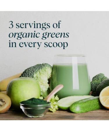 Buy Ora Easy Being Green Organic Alkaline Greens Powder with Citrus Flavor â€“ 240g - Buy Online on GoSupps.com