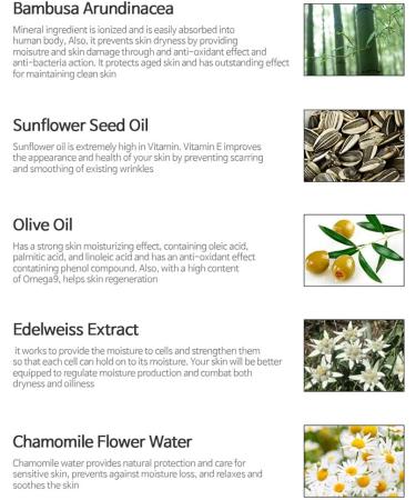 Hydrating Bamboo Extract Ã¢â¬â THE PLANT BASE Nature Solution 5.64oz | 86.85% Water Infused - Buy Online on GoSupps.com