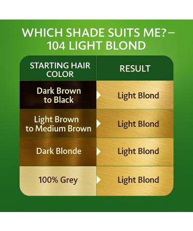 BIONDA Brilliant Permanent hair color & coloring 104 light blonde 100 ml 100 gray hair coverage with argan oil nourishing oil formula intensive color shine roots & full lengths - Buy Online on GoSupps.com