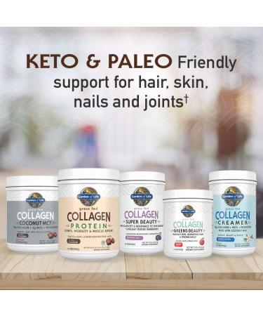 Garden of Life Grass Fed Collagen Protein Chocolate Coconut MCTs 20.74 oz (588 g) - Buy Online on GoSupps.com