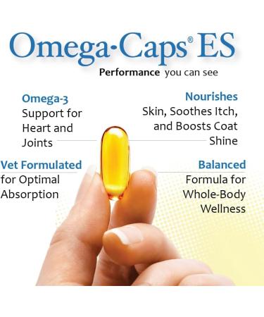 Omega-Caps Extra Strength for Large Breeds-Vet Formulated for Healthy Radiant Skin & Coat While Reducing Shedding. Contains Omega 3 for Immune System Support Easy to Dose 1000 Soft Gel Capsules - Buy Online on GoSupps.com