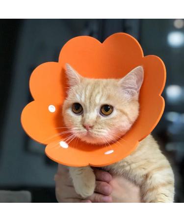 Buy Tecatty Pets Calant Adjustable Anti-Digging Cat Collar | Lightweight Elizabethan Collar for Cats (M Orange) - International Shipping Available - Buy Online on GoSupps.com