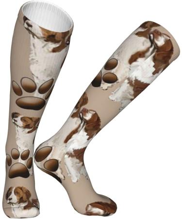 Brittany Spaniel Liver-Colored Compression Socks 15-20 mmHg | Best Support for Running & Cycling - Unisex - Buy Online on GoSupps.com