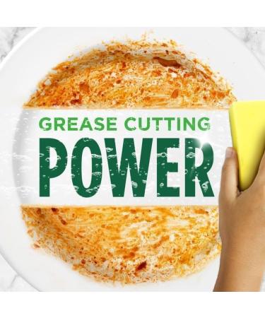 Fairy Washing Up Liquid - Powerful Dishwasher Cleaner Grease Cutting Formula Gentle on Skin - Concentrated Dishwasher Liquid Detergent Apple & Rhubarb 2x 320 ml with 2 Oerich Scourers - Buy Online on GoSupps.com