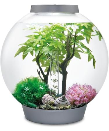 Biorb 55029 Decor Set 30L Sommer - Realistic Artificial Aquatic Plants & Stones for Freshwater & Saltwater Aquariums - Buy Online on GoSupps.com