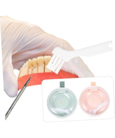 Healeeved 2-Piece Prozos Storage Box Travel Container Organizer with Lid for Prosthetics & Braces - Buy Online on GoSupps.com