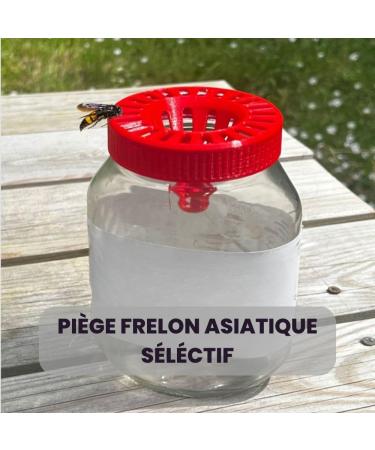 Set of 2 Selective and Ecological Asian Hornet Traps Innovative Solution Made in Normandy France Asian Hornet Trap (Spread 800 g and 1 kg) - Buy Online on GoSupps.com