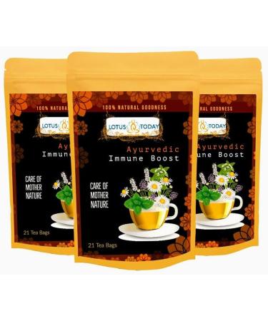 Immune System support Tea Herbal tea with 18 Herbs and spices Ayurvedic Recipe 21 Tea Bags - Buy Online on GoSupps.com