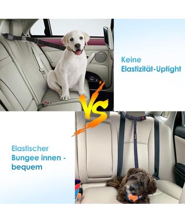 Slowton Dog Car Belt - 2-Piece Adjustable Headrest Safety Harness with Reflective Rubber Strap for Secure Travel - Buy Online on GoSupps.com