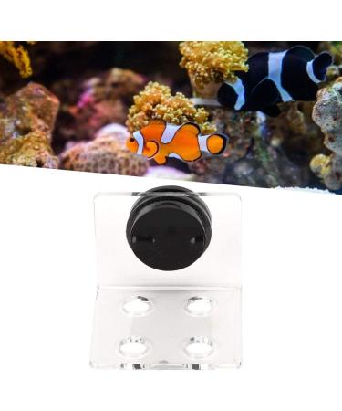 Zerodis Aquarium Coral Rack Bracket - Strong Acrylic Transparent Frag Rack with Suction for Coral Accessories (4 Hole) - Buy Online on GoSupps.com