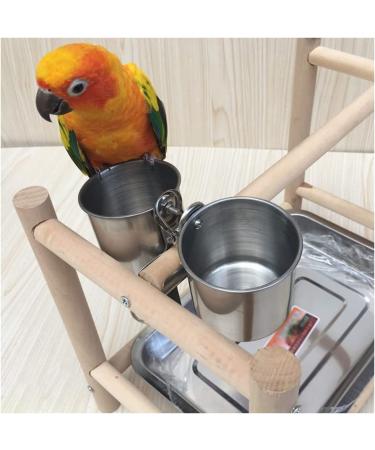 Texsens Bird Feeding Cups - Stainless Steel Parrot Food and Water Bowls with Clamp Holder for Small Birds and Animals - Buy Online on GoSupps.com