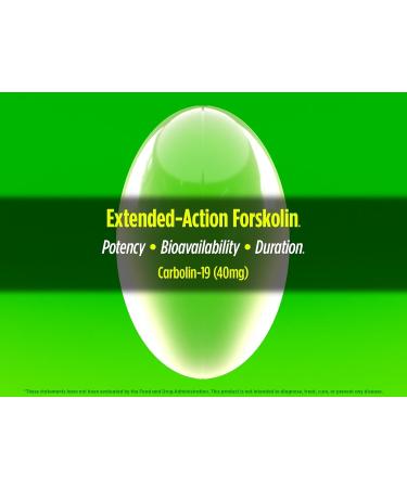 Biotest Carbolin 19 - Enhanced Forskolin for Greater Fat Loss* - 30 Servings - Buy Online on GoSupps.com