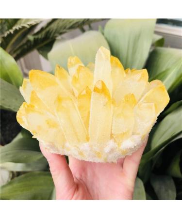 Natural Crystal Rough Home Decoration Natural Citrine Phantom Quartz Crystal Cluster Specimen Stones (Size : 600-700g) - Buy Online on GoSupps.com